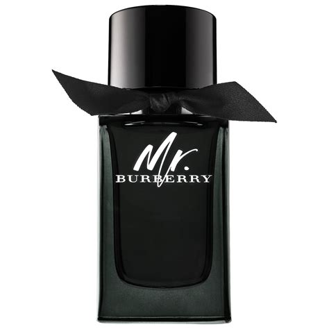 mr burberry edt sephora|burberry cologne for men.